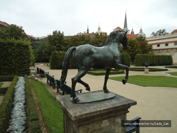 photo 1169816