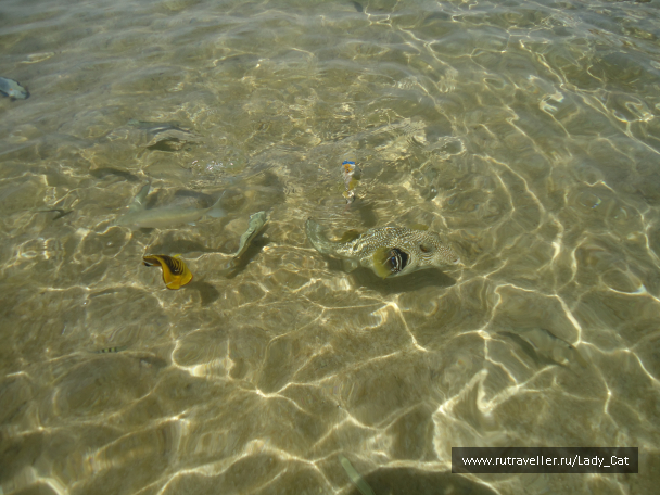 photo 1170377