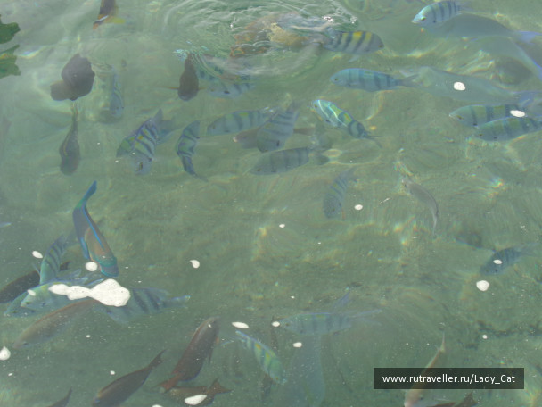 photo 1170409