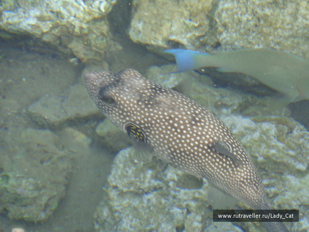 photo 1170411