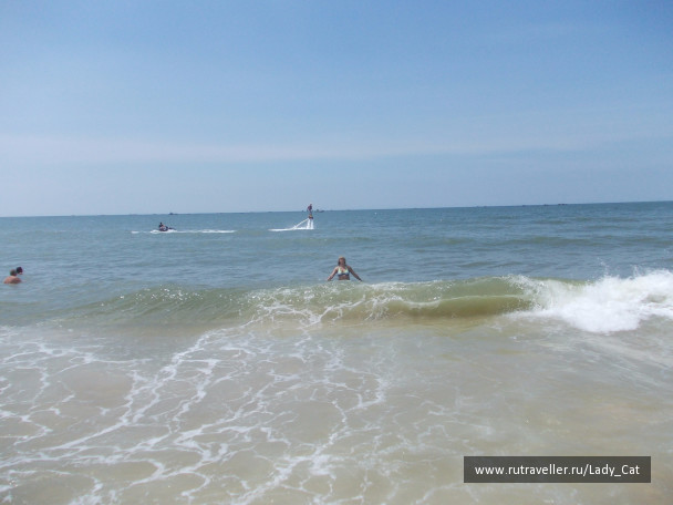 photo 1174646