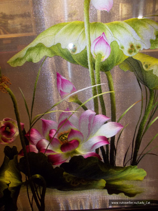 photo 1174663