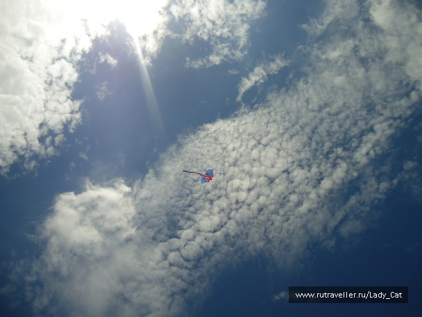 photo 1174709
