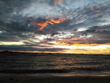 photo 1497545