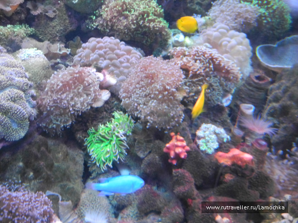 photo 69469