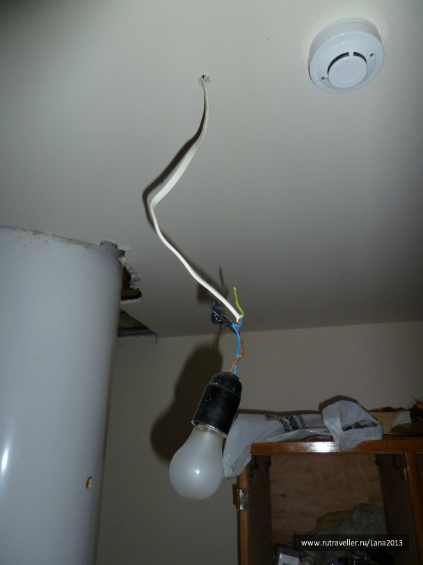 photo 226476