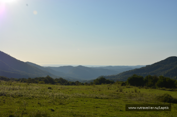 photo 1653873