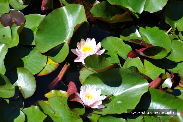 photo 732729