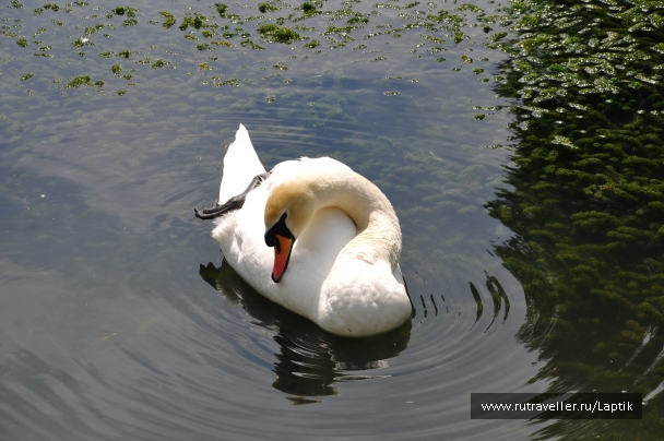 photo 732750