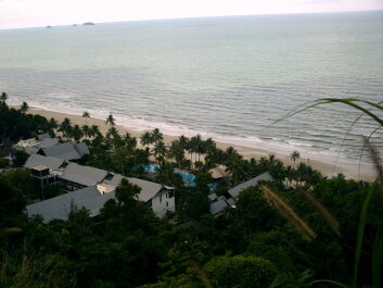 photo 273431