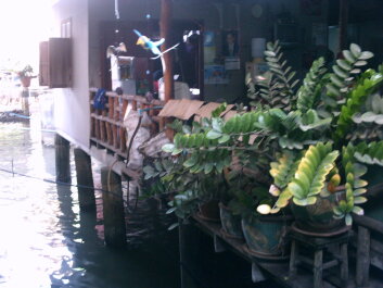 photo 88269