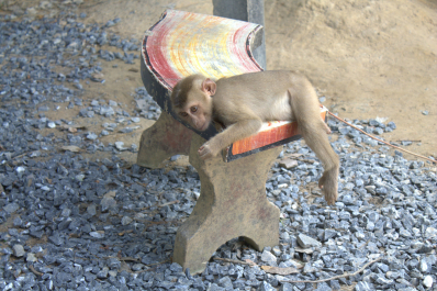 photo 709142