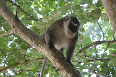 photo 667784