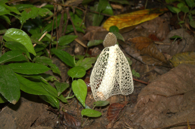 photo 709158
