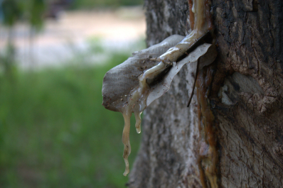 photo 709160