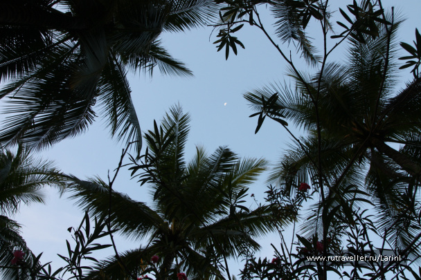 photo 496185