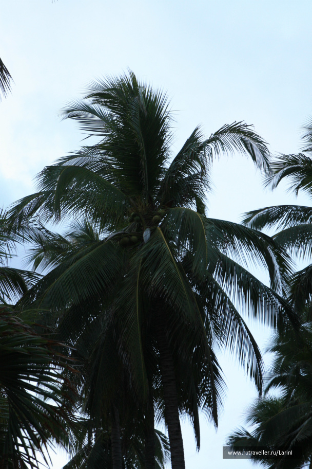photo 496189