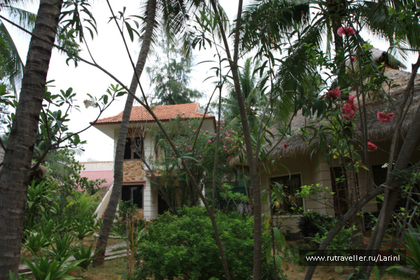photo 496197