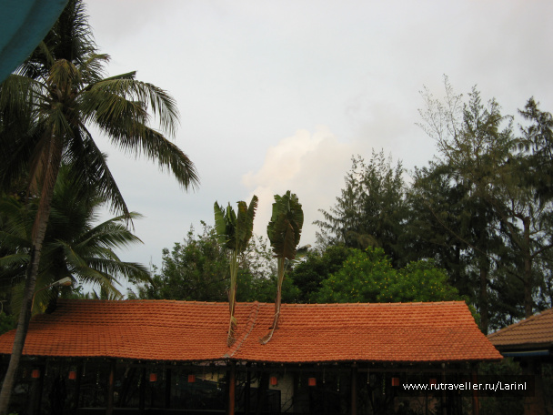 photo 496211