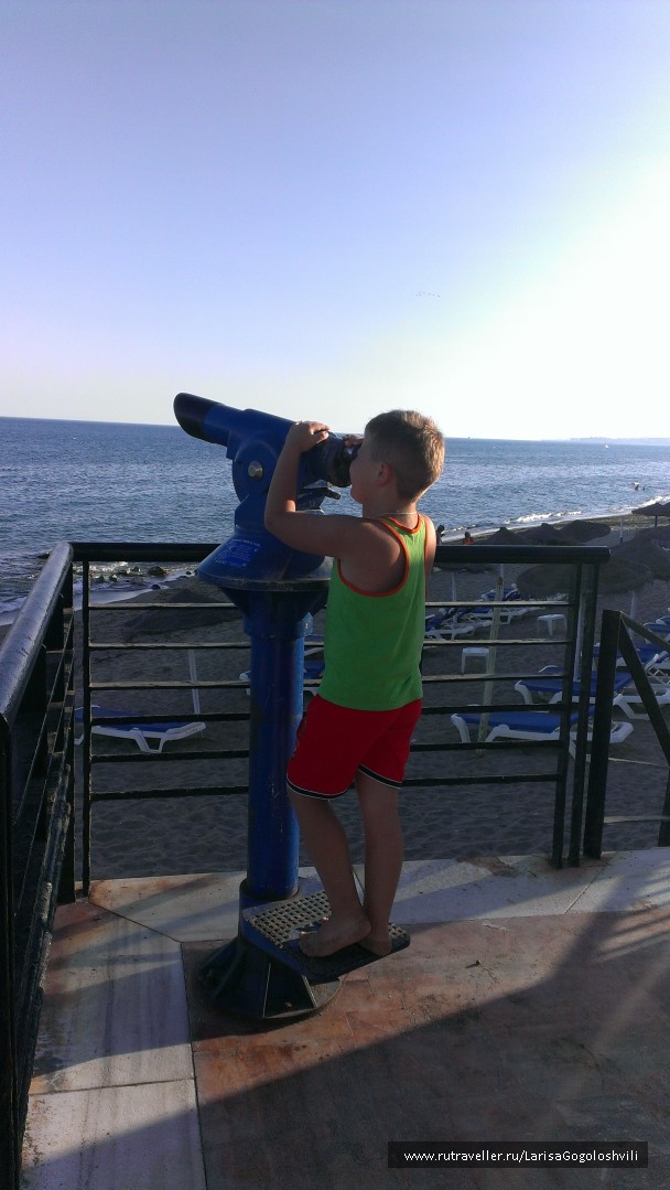 photo 1333981