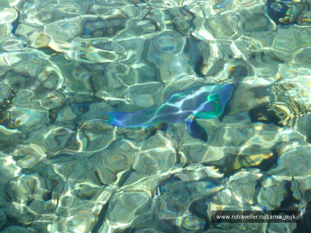 photo 772158