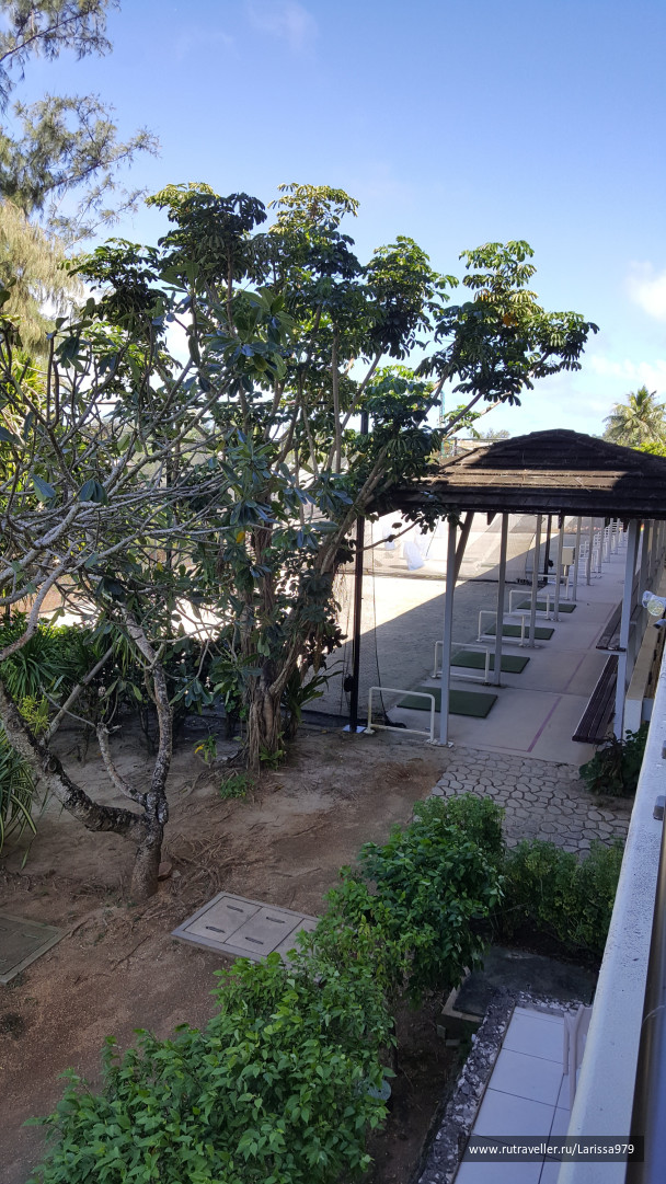 photo 1416813