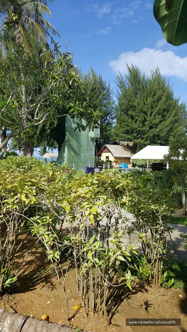 photo 1416840
