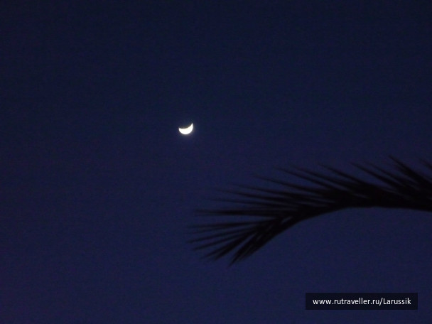 photo 558932