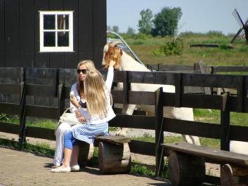 photo 135831