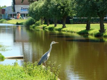 photo 135832