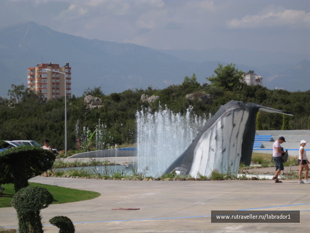 photo 356778