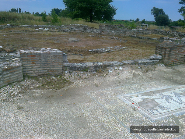photo 128475