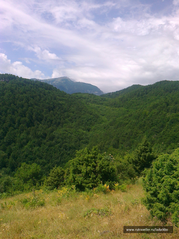photo 128483