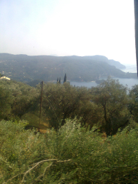 photo 707516