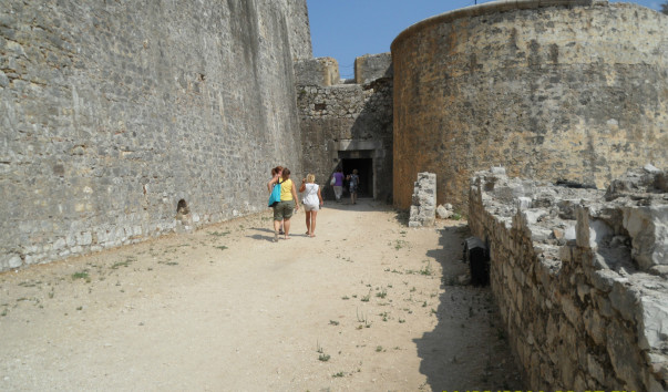 SAM_0373