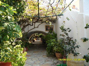 photo 707618