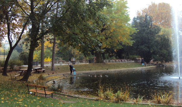 DSC08225