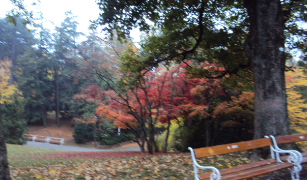 DSC08192