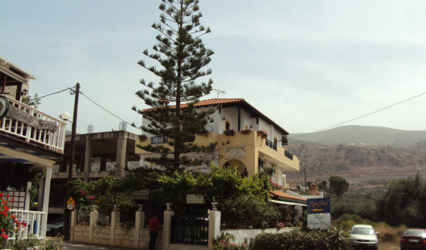 DSC06890