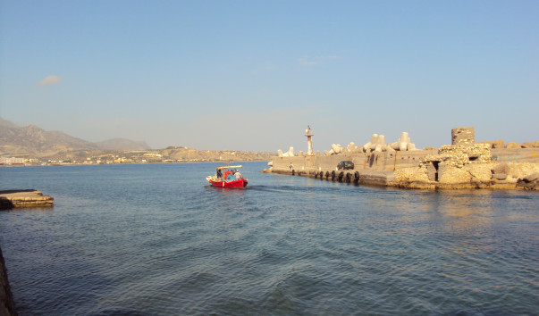 DSC07254