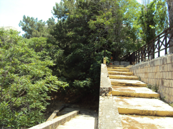 photo 711391