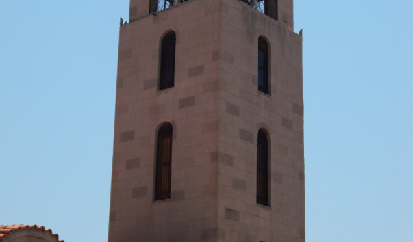 DSC07651