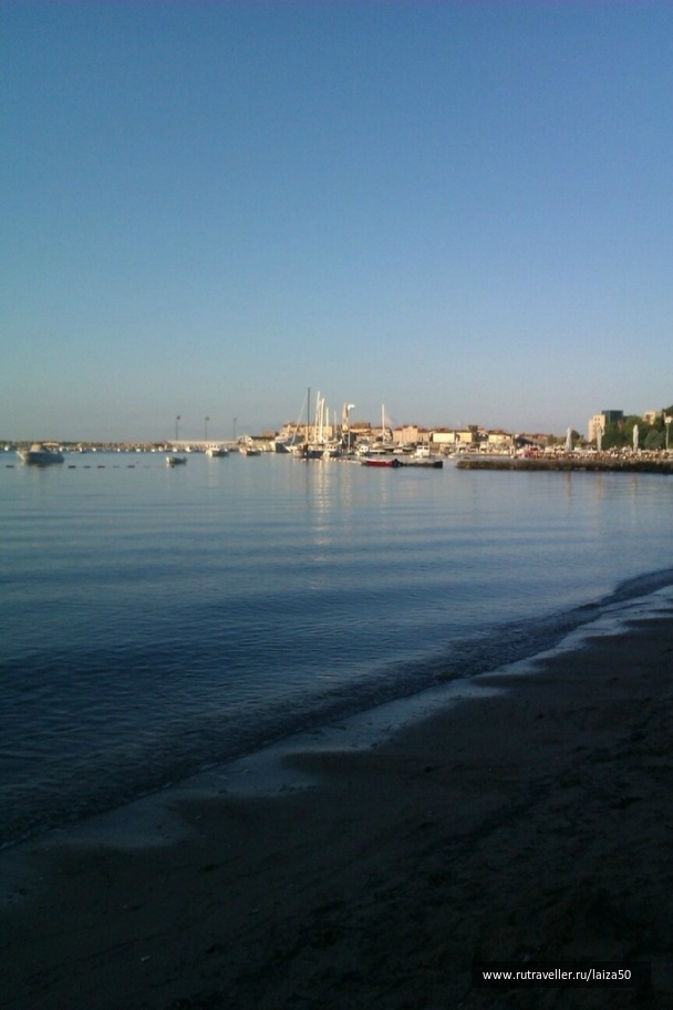 photo 788385