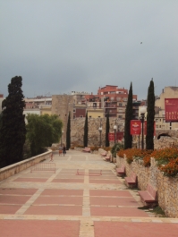 photo 868813