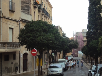 photo 868818