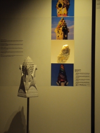 photo 878955