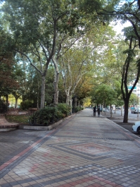 photo 873357