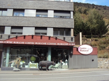 photo 876904