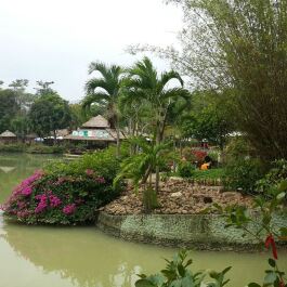 photo 1461385