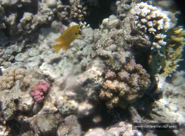 photo 109643